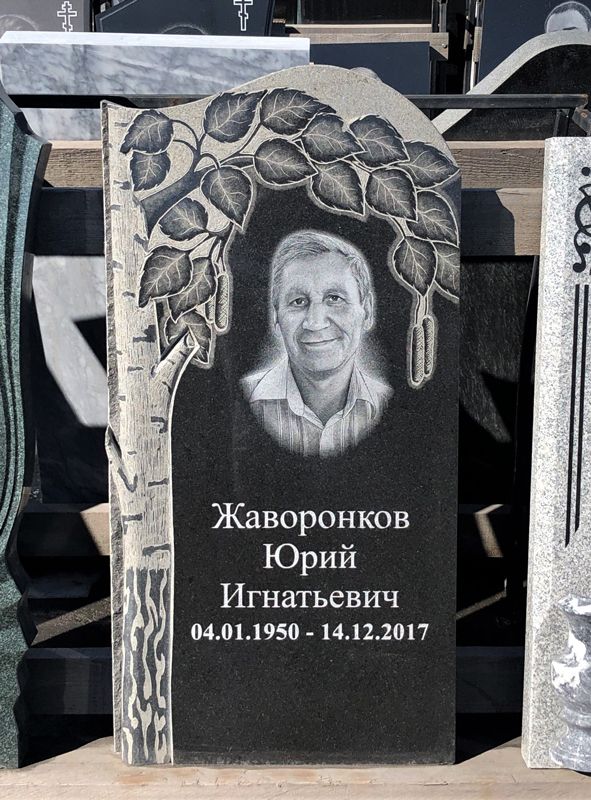 Памятник №149 из черного гранита с березой — фото 2
